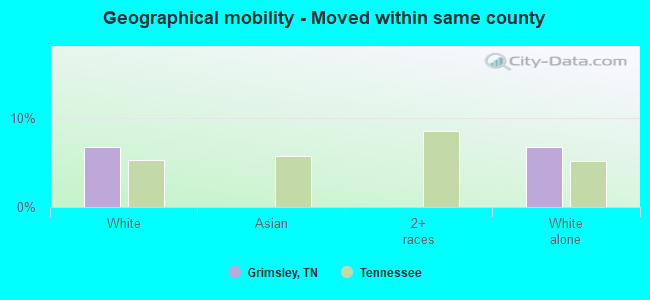 Geographical mobility -  Moved within same county