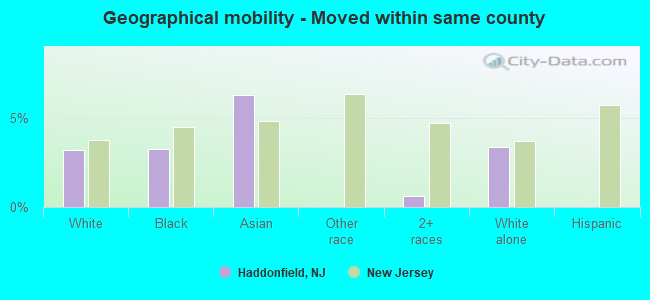 Geographical mobility -  Moved within same county