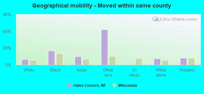 Geographical mobility -  Moved within same county