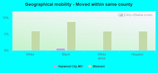 Geographical mobility -  Moved within same county