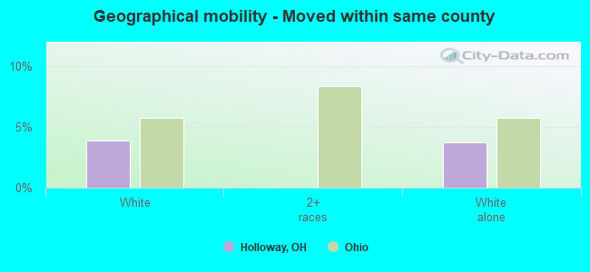 Geographical mobility -  Moved within same county