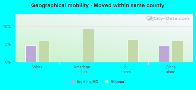 Geographical mobility -  Moved within same county