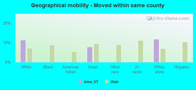 Geographical mobility -  Moved within same county