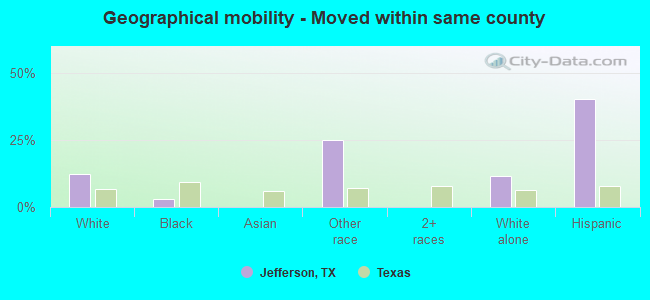 Geographical mobility -  Moved within same county