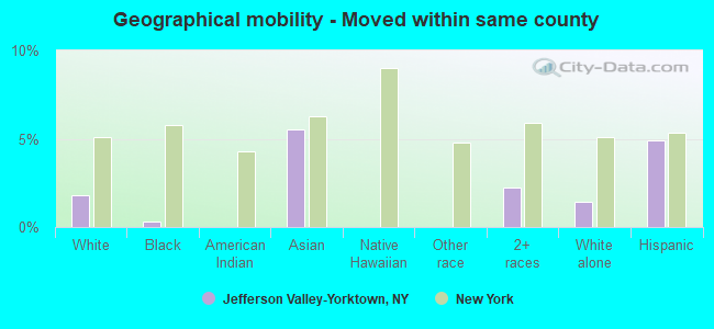 Geographical mobility -  Moved within same county