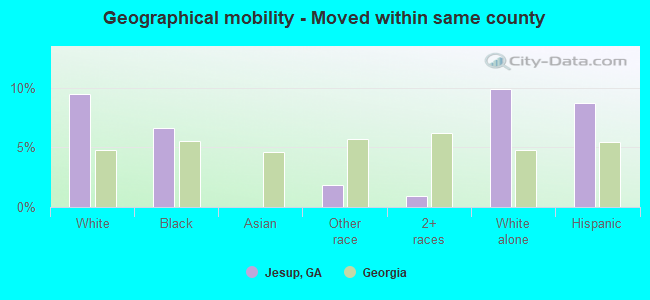 Geographical mobility -  Moved within same county