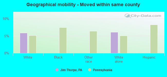 Geographical mobility -  Moved within same county