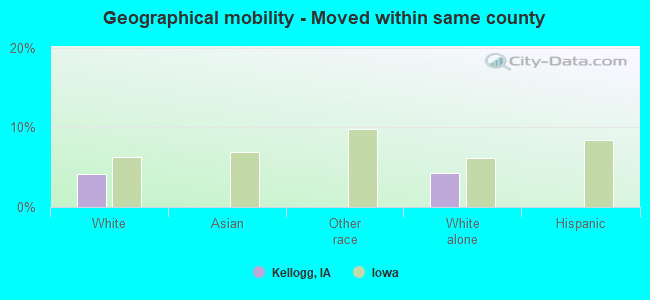 Geographical mobility -  Moved within same county