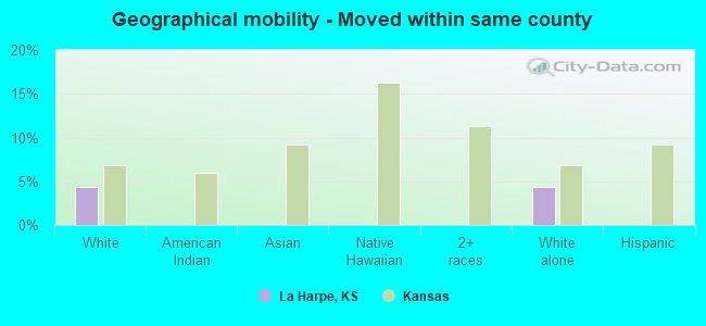 Geographical mobility -  Moved within same county