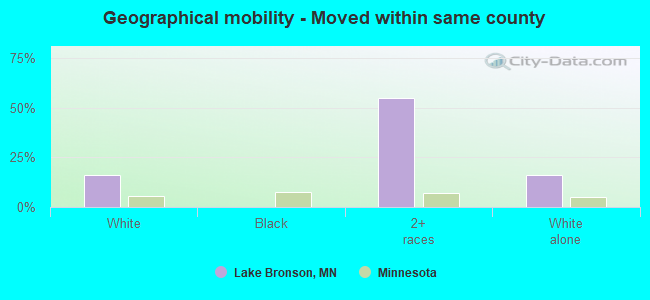 Geographical mobility -  Moved within same county