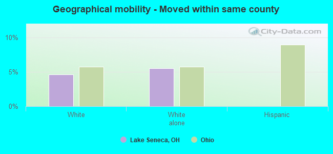 Geographical mobility -  Moved within same county