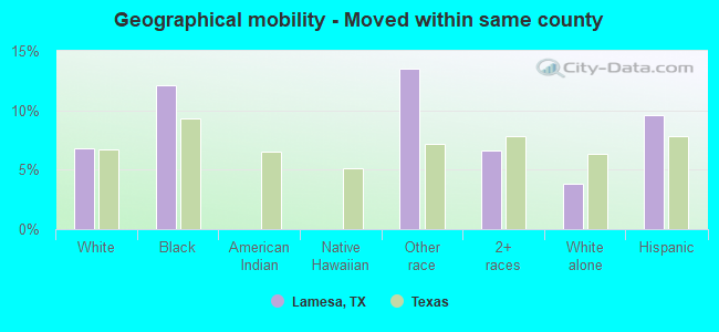 Geographical mobility -  Moved within same county