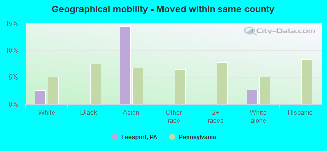 Geographical mobility -  Moved within same county