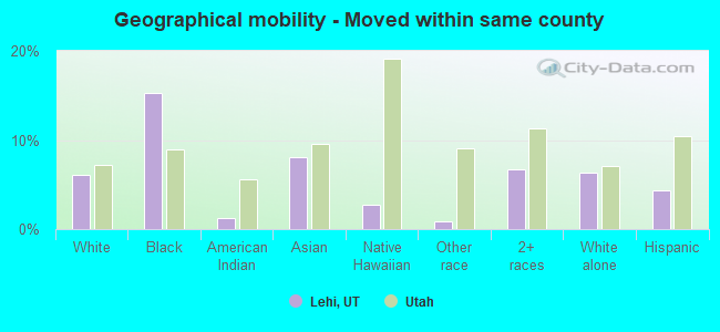 Geographical mobility -  Moved within same county