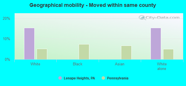 Geographical mobility -  Moved within same county