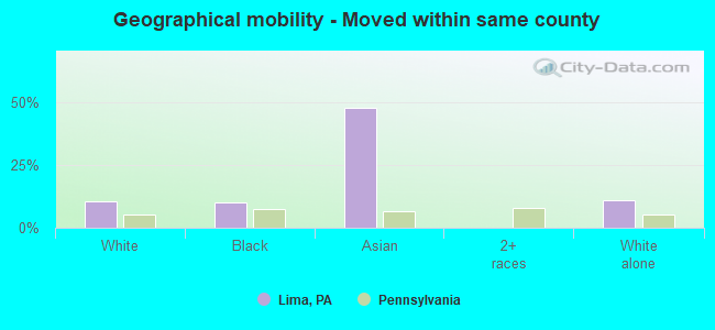 Geographical mobility -  Moved within same county