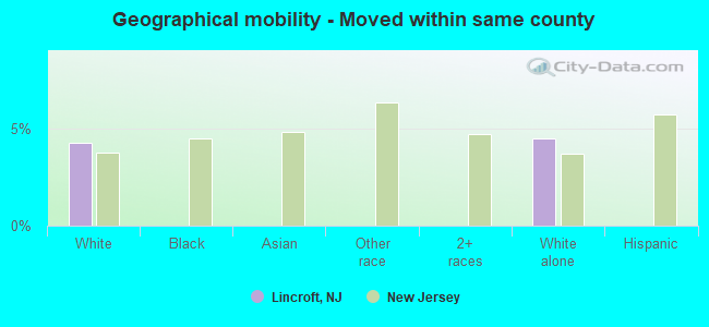 Geographical mobility -  Moved within same county