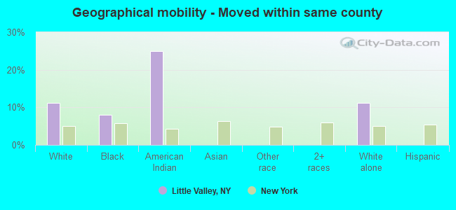 Geographical mobility -  Moved within same county