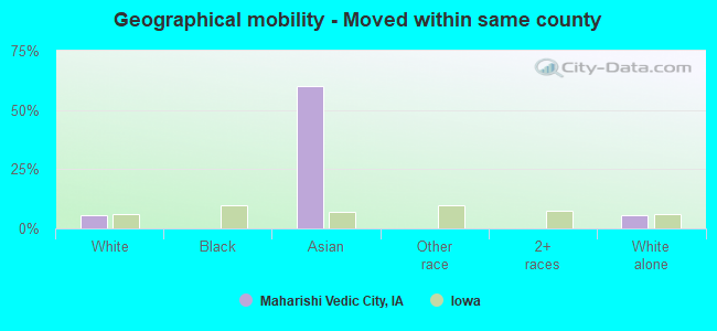 Geographical mobility -  Moved within same county