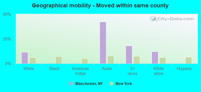 Geographical mobility -  Moved within same county