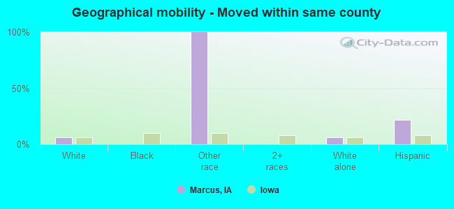 Geographical mobility -  Moved within same county