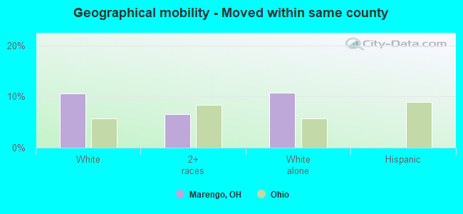 Geographical mobility -  Moved within same county