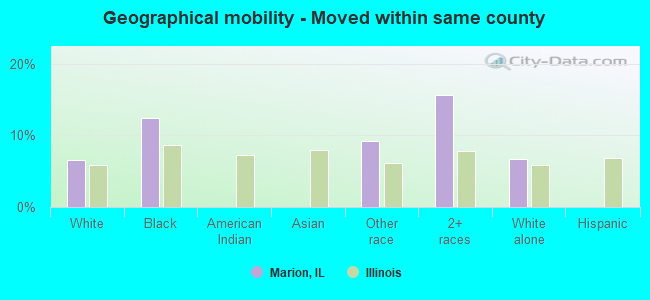 Geographical mobility -  Moved within same county