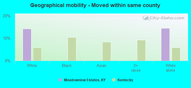 Geographical mobility -  Moved within same county