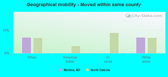 Geographical mobility -  Moved within same county