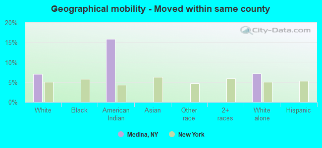 Geographical mobility -  Moved within same county