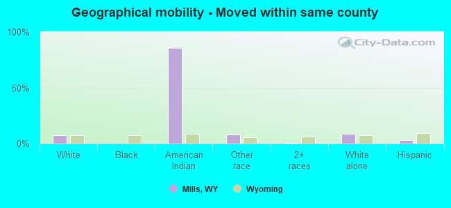 Geographical mobility -  Moved within same county