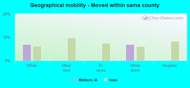 Geographical mobility -  Moved within same county