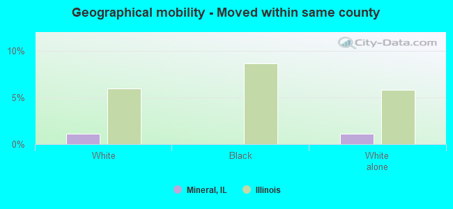 Geographical mobility -  Moved within same county