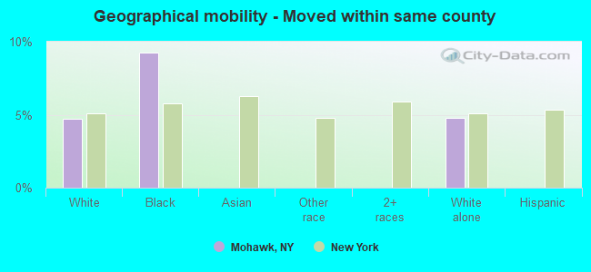 Geographical mobility -  Moved within same county