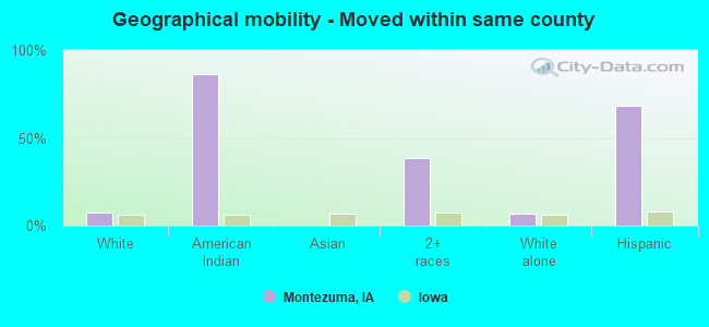 Geographical mobility -  Moved within same county