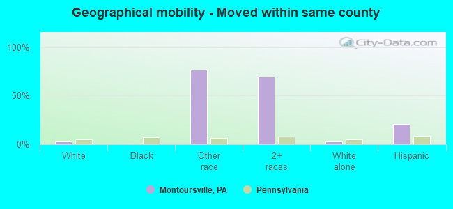 Geographical mobility -  Moved within same county