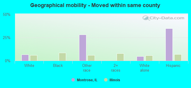 Geographical mobility -  Moved within same county