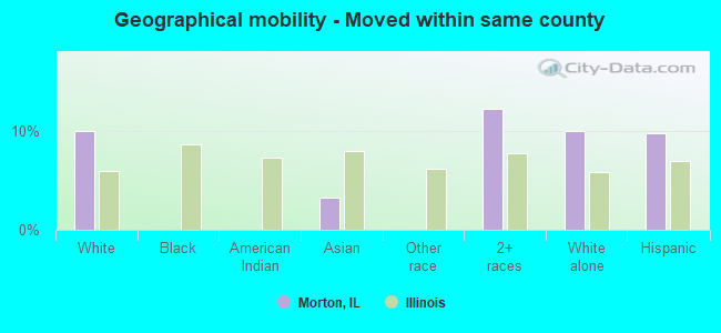 Geographical mobility -  Moved within same county