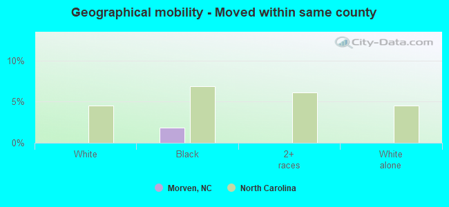 Geographical mobility -  Moved within same county