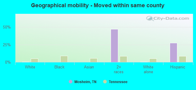 Geographical mobility -  Moved within same county