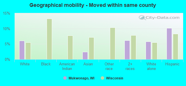 Geographical mobility -  Moved within same county