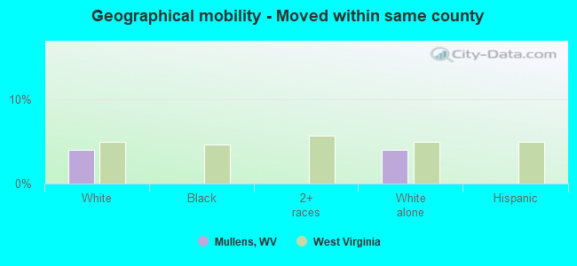 Geographical mobility -  Moved within same county