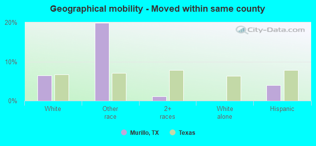 Geographical mobility -  Moved within same county