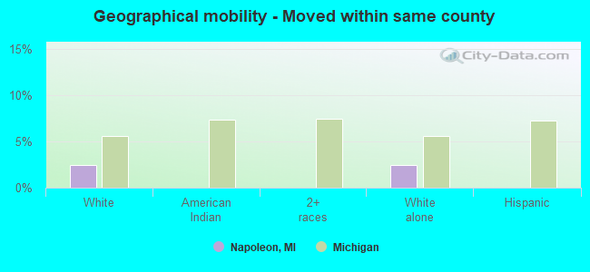 Geographical mobility -  Moved within same county