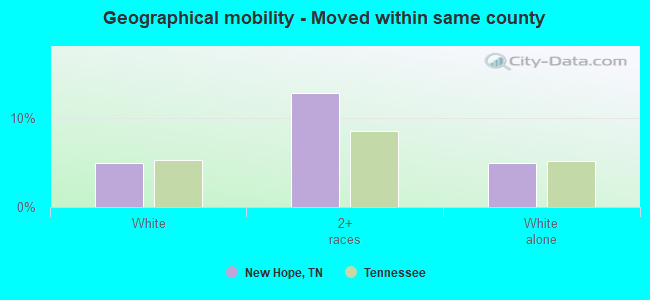 Geographical mobility -  Moved within same county