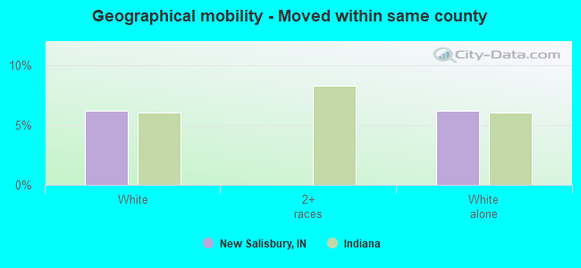 Geographical mobility -  Moved within same county