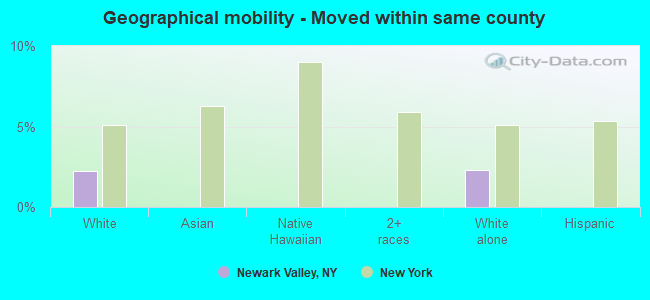 Geographical mobility -  Moved within same county