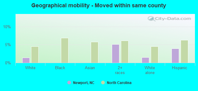 Geographical mobility -  Moved within same county