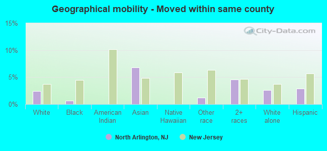 Geographical mobility -  Moved within same county