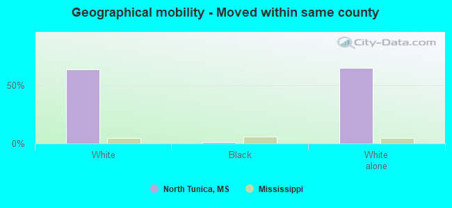 Geographical mobility -  Moved within same county